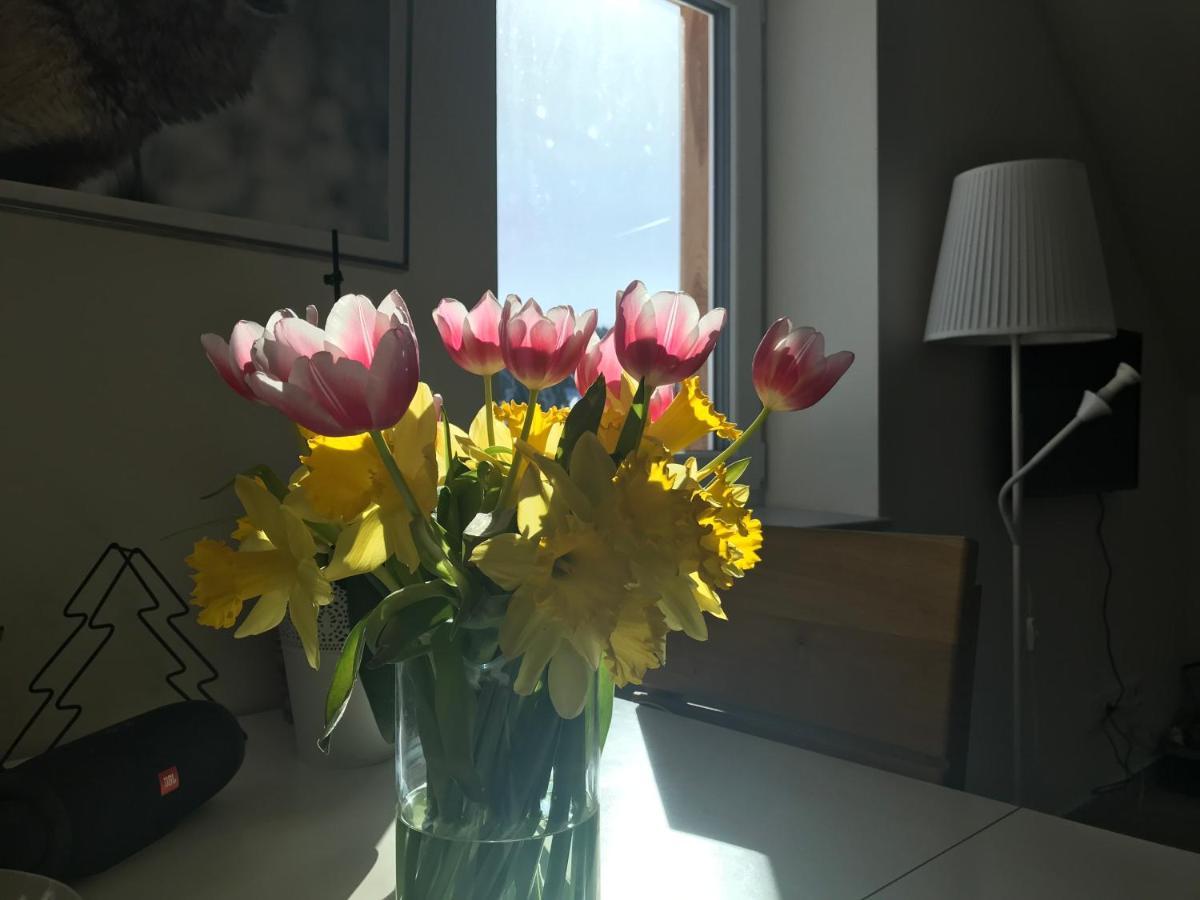 Penzion Kvilda - Lucni Buitenkant foto